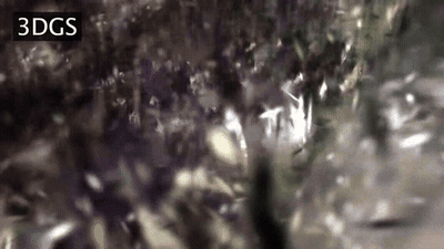 640-2.gif